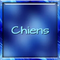 Chiens
