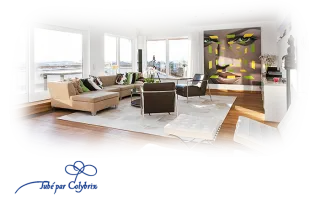 Mist intérieur maison