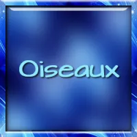 Oiseaux