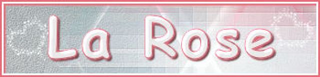 site/trad-marja/2025/la_rose/titre_blog.jpg